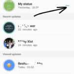 How to Share Whatsapp Status with Friends